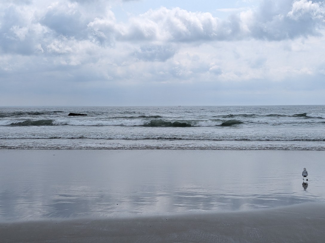 Calm grey-blue ocean under an overcast sky, with gentle waves settling onto wet sand that mirrors the clouds, and a single seagull standing at the water's edge